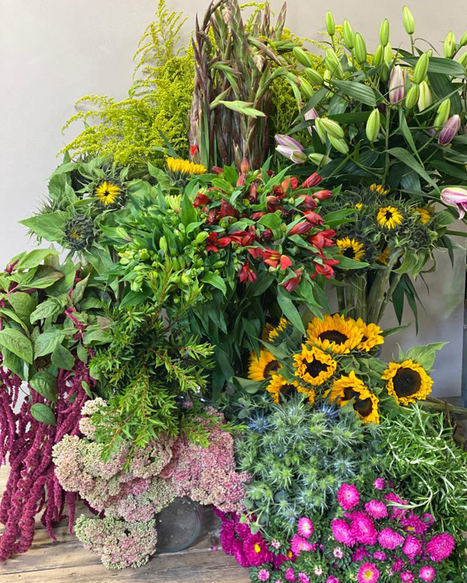 Box Deals British Flowers direct by Evolve Flowers