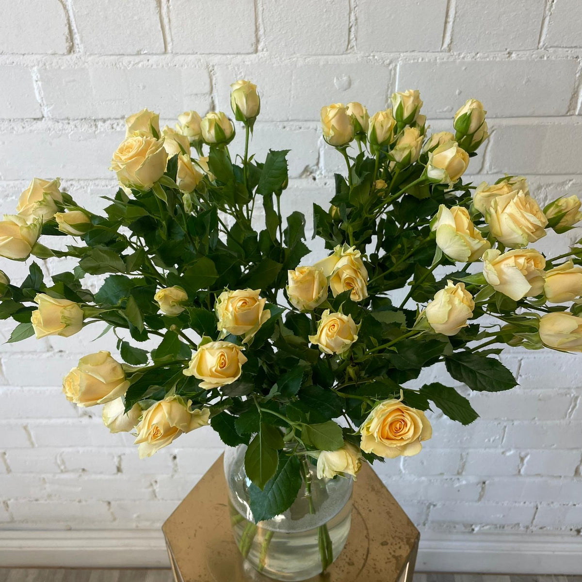 IMPORT ROSE Spray Roses Peach/cream 10 stems/50cm British Flowers