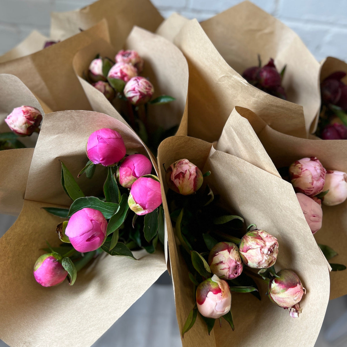 FARM SHOP FLOWERS Peony bunches (12x5stems £4.75 bunch) British