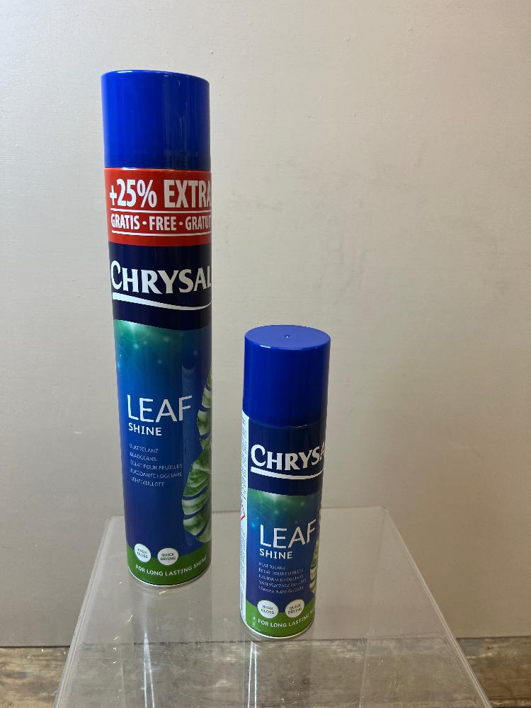 Chrysal Leaf Shine Aerosol 250ml British Flowers direct by Evolve Flowers