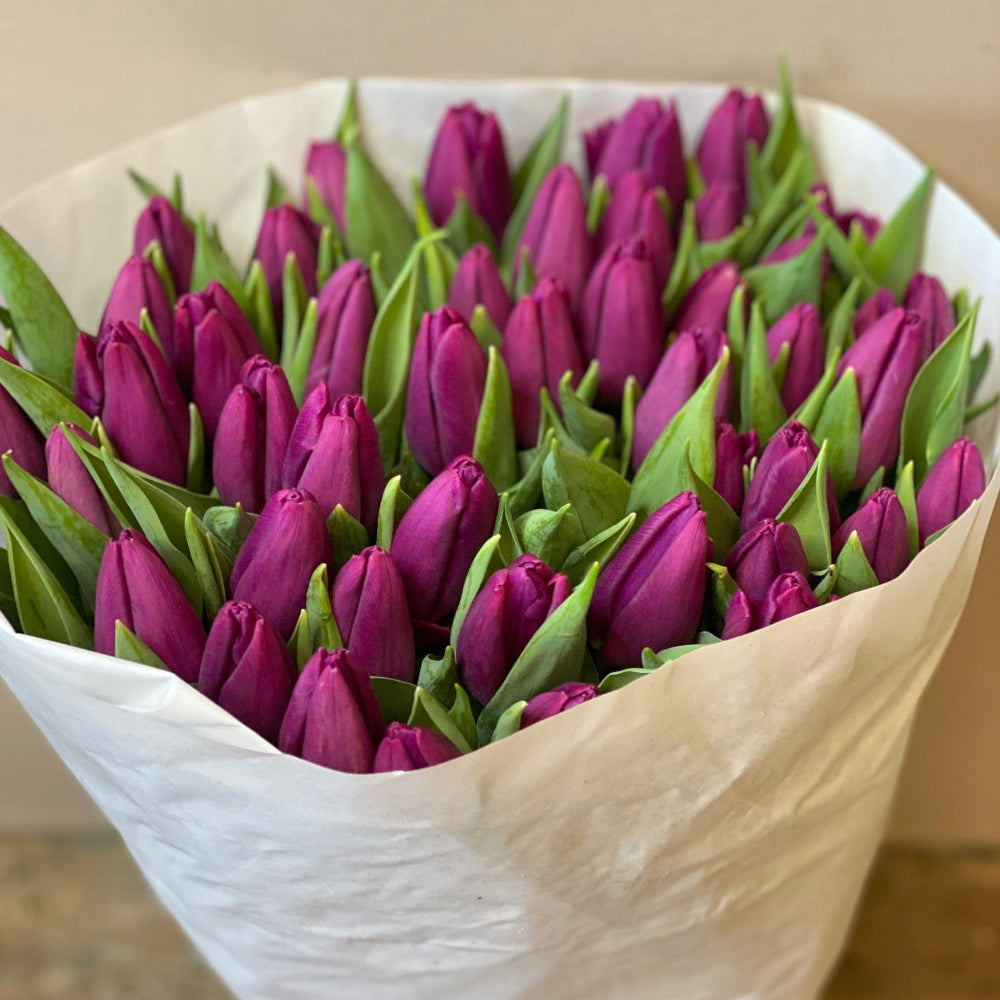 Tulip - Purple - Laptop - Bundle of 40 stems – British Flowers direct by  Evolve Flowers, image size:1000x1000