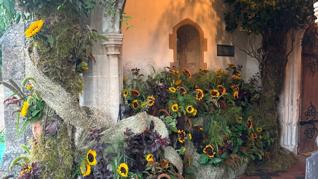 Close up of the meadow flowers used in The King's meadow installation at Sandringham. Including Tall Highlander Grass & Air-Grown Panicum, Copper Amaranthus 'Hot Biscuits' & Sunflowers and Dark Physocarpus 'Diablo' & Early Berries