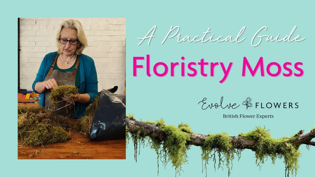 Floristry Moss Explained: Sustainable Sphagnum Moss for Wreaths & Arrangements