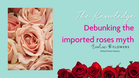 Debunking the imported roses myth