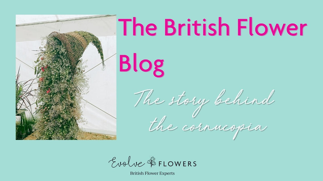 Blog header - The story behind the cornucopia with image showing cornucopia installation from Heckington Show