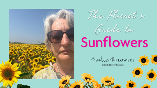 Florist’s Guide to Sunflowers