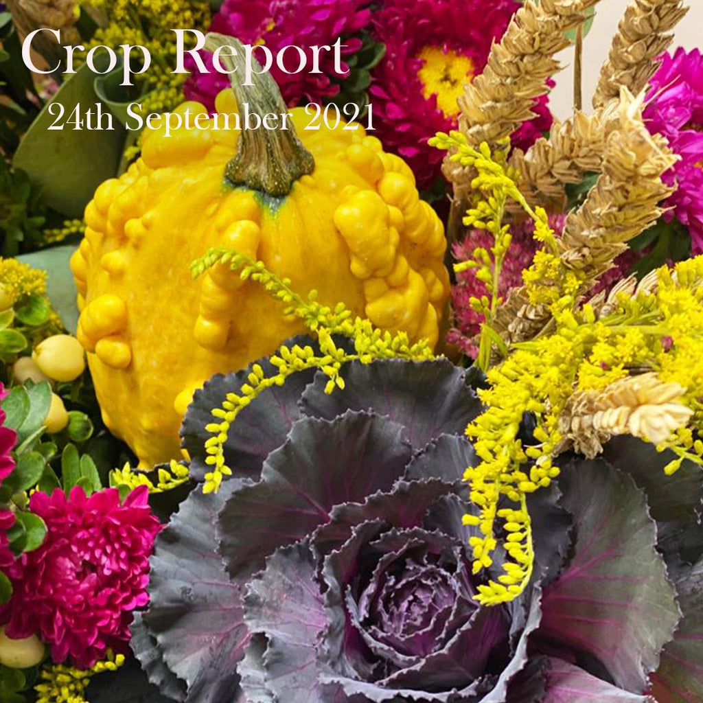 Crop Report - 24th September 2021