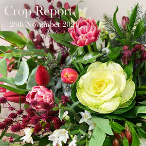 Crop Report - 26th November 2021