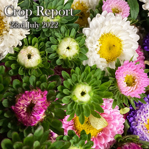 CROP REPORT - 23rd July 2022
