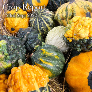 CROP REPORT - 23rd September 2022