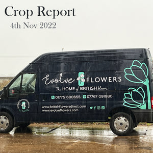 Crop Report - 4th November 2022