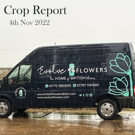 Crop Report - 4th November 2022