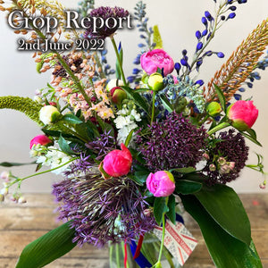 CROP REPORT - 2nd June 2022