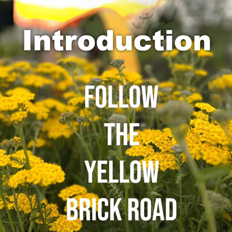 Follow the Yellow Brick Road,  follow your dreams - Introduction