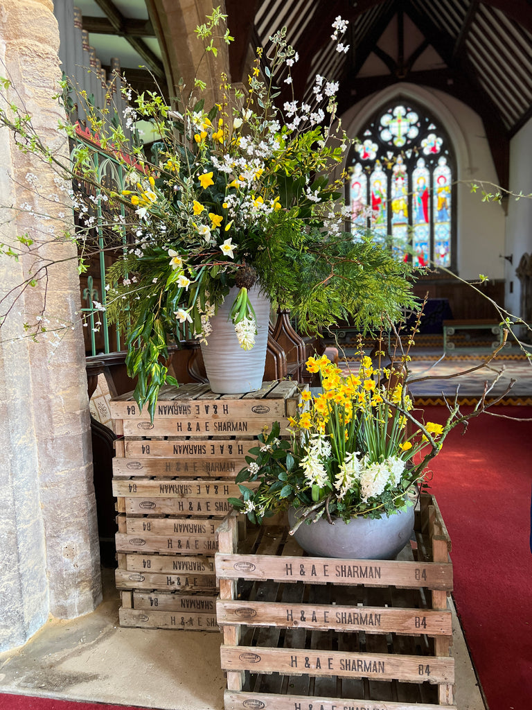 Sustainable Farewells - Nodding Daffodils, under the trees