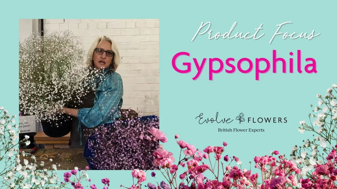 The Florist’s Guide to Gypsophila