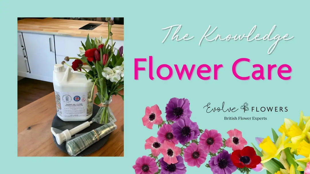 Why Flower Care Doesn’t Stop at the Farm Gate