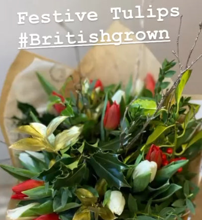 Tulip Time at Evolve Flowers: Blooms with a British Twist