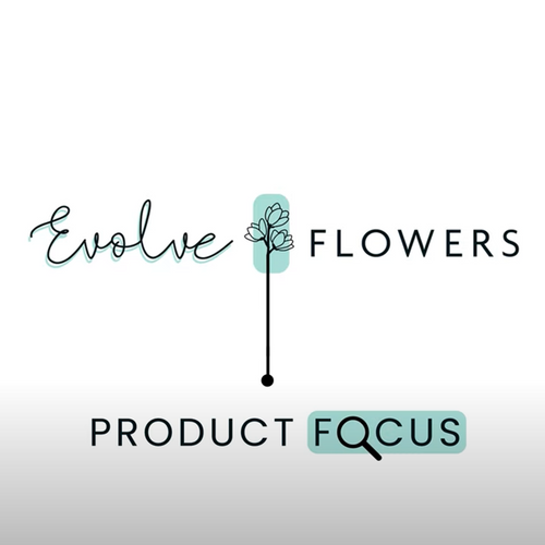 Product Focus: Premix Harlequin/Sorbet Tulips