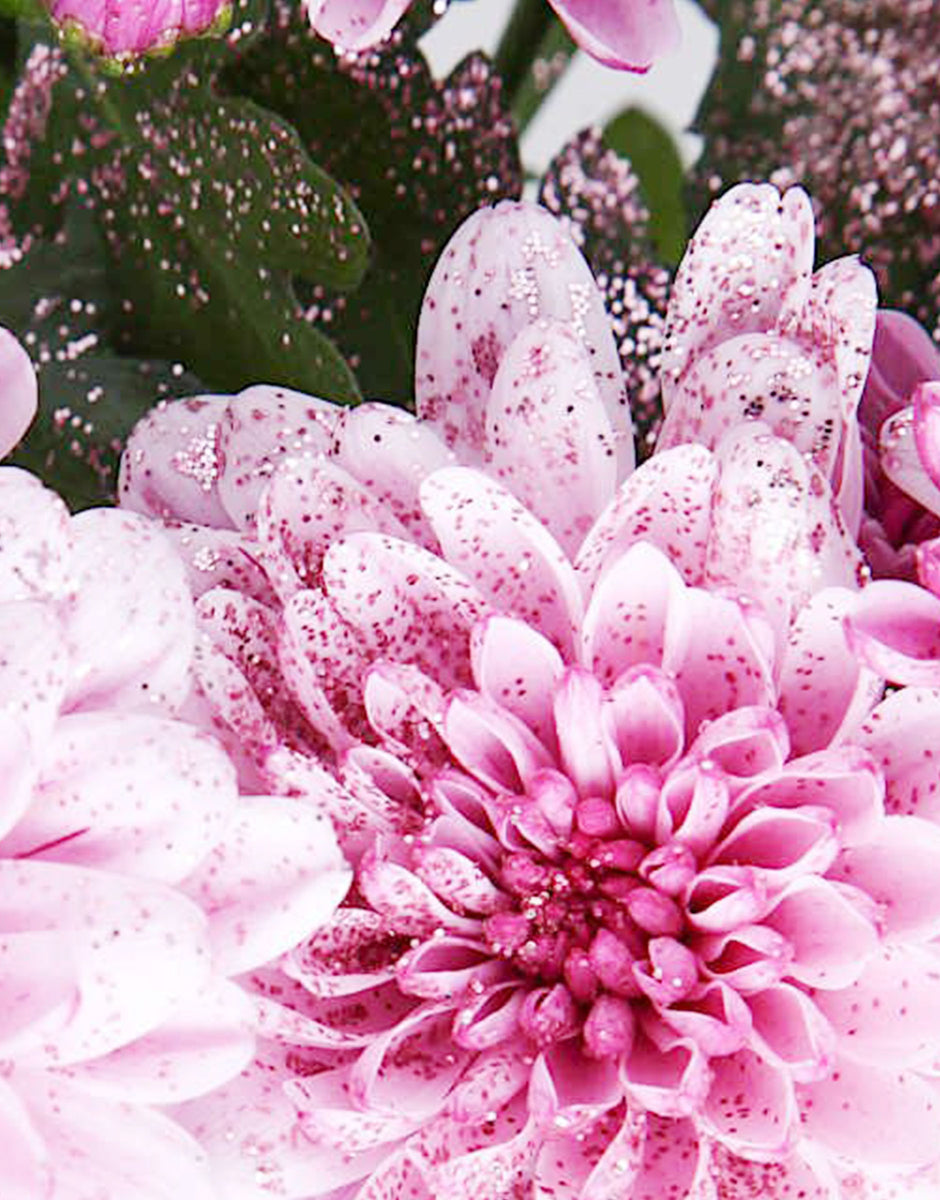 Bioglitter British Flowers direct by Evolve Flowers
