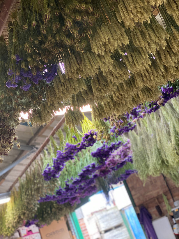 Dried Flowers