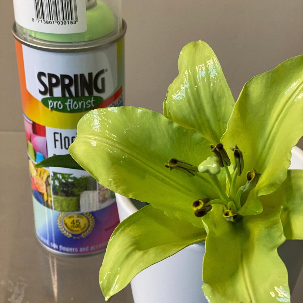 Floral & Craft Spray Paint Collection