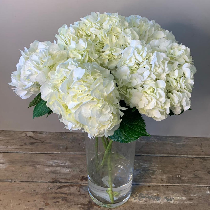 Import Flowers