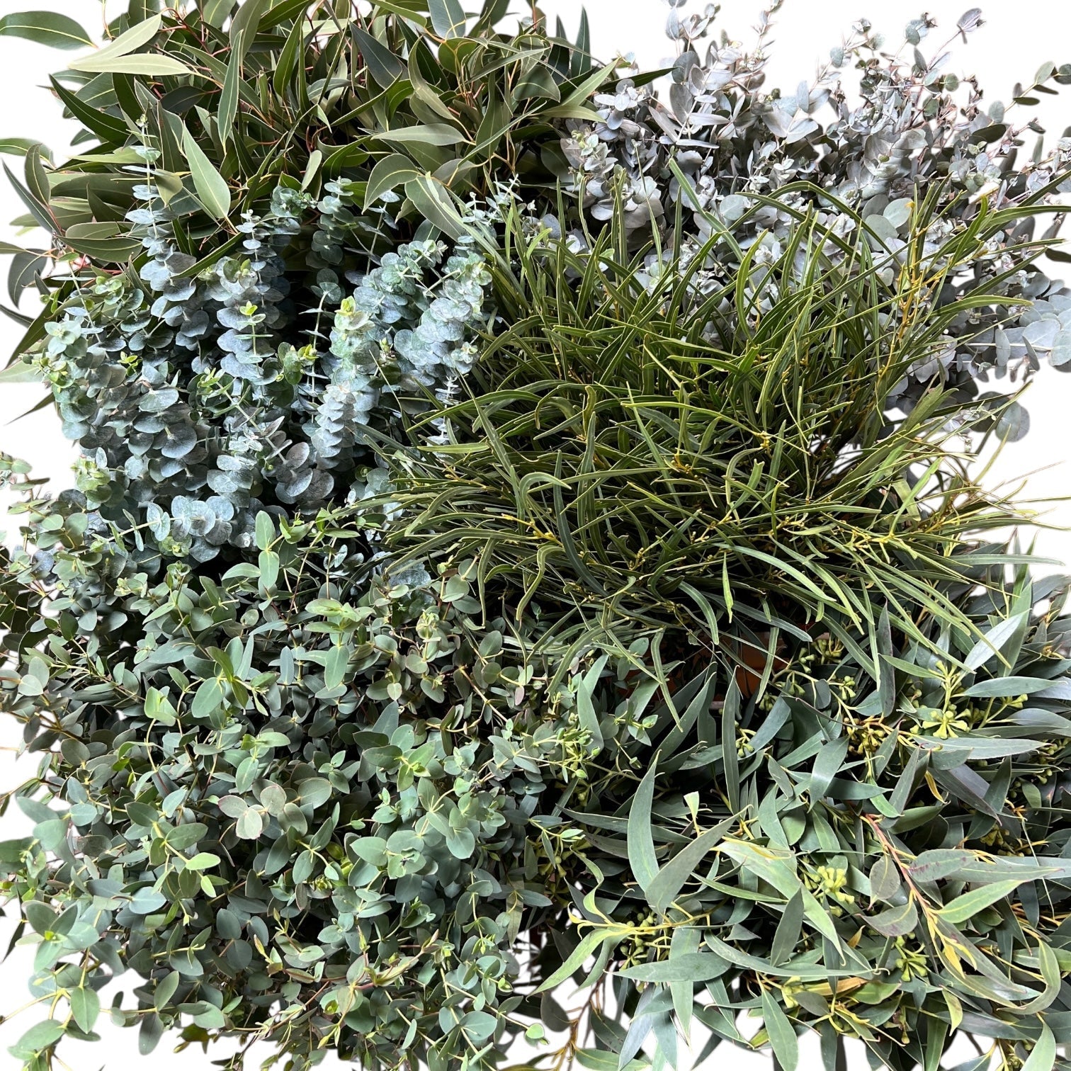 Wild Green Garden Bundle