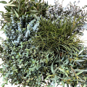 Wild Green Garden Bundle