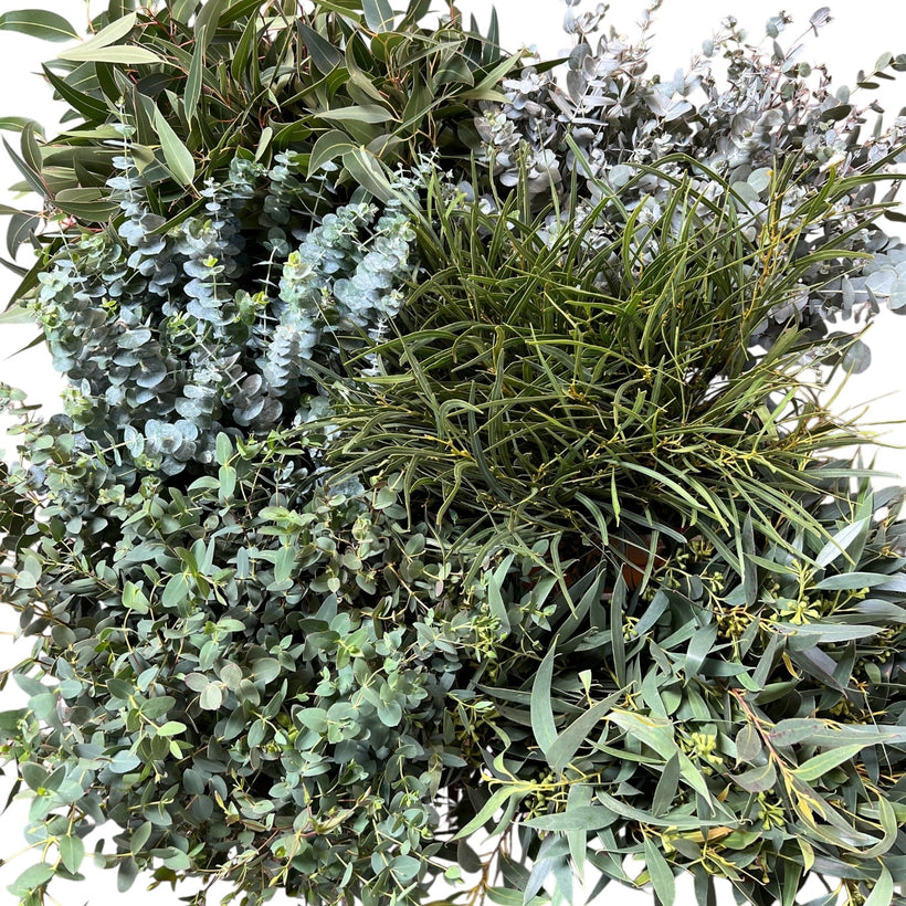 Foliage and Twigs