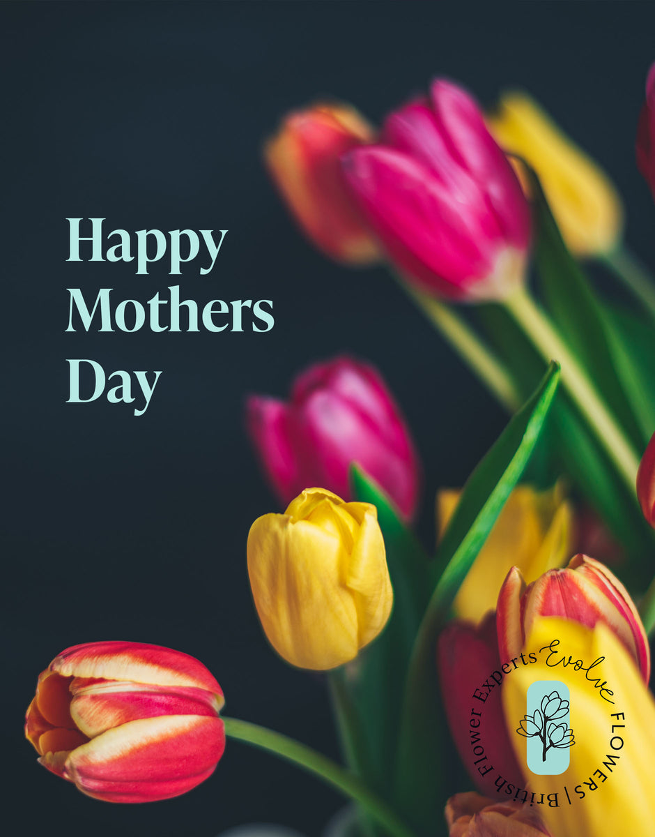 Evolve Flowers Wholesale Mothers Day Flowers PreOrder British