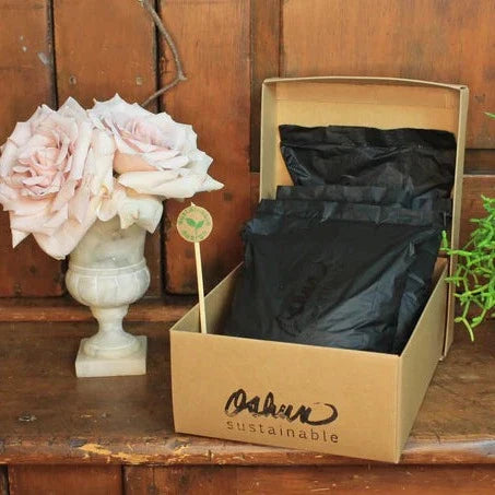 OSHUN & New Age Floral