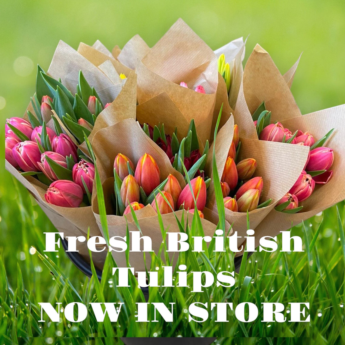 Farm Shop Flowers British Flowers direct by Evolve Flowers