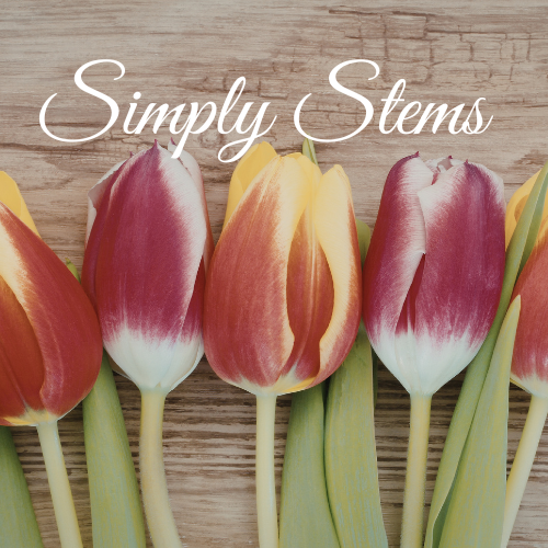 Simply Stems | Direct to Door Gifts – Fresh, Simple Flower Bundles