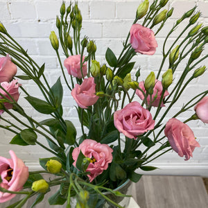 Lisianthus