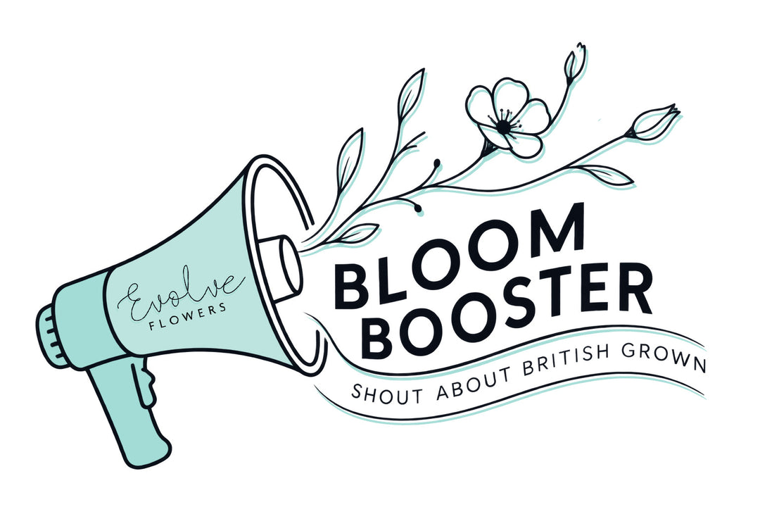 Logo for the Bloom Boosters Colelction for Evolve Flowers