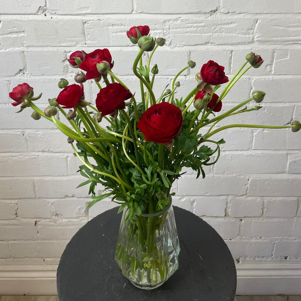 lincolnshire florist wholesale