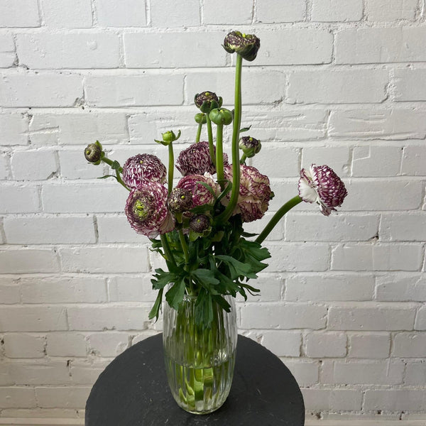 norfolk grown ranunculus UK