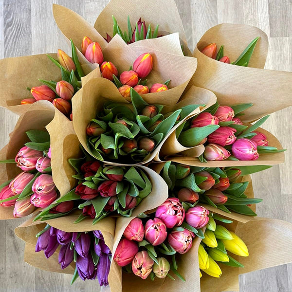 colourful tulips sale 