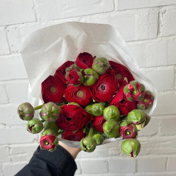 buy ranunculus wedding online