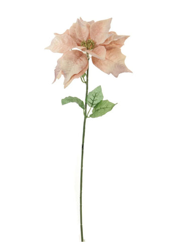 SILK FLOWERS - Poinsettia Velvet - Pink with gold centre
