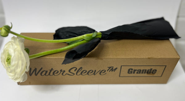 mail order innovation eco friendly