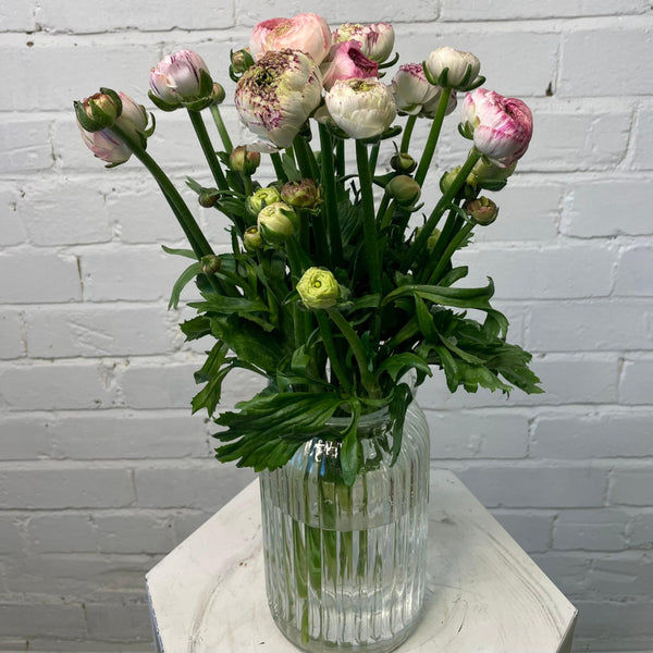 lincolnshire florist norfolk ranunculus 