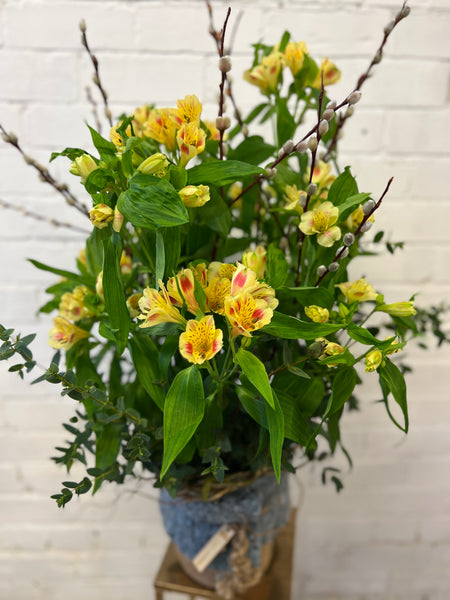 Alstroemeria Cornish Stem Grade 10 Stems - Rhubarb & Custard