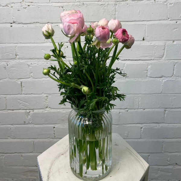 Ranunculus AUTUMN - Bunch of 10 stems PINK