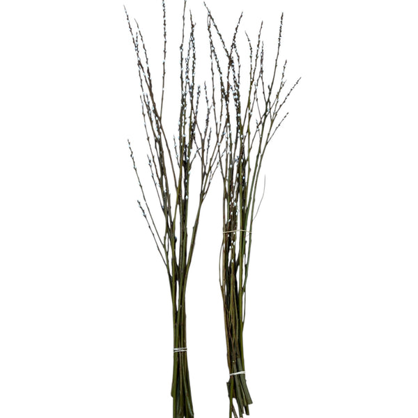 Bunch of dried branches on a white background