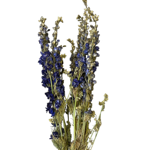 DRIED - Larkspur Bunch - Blue