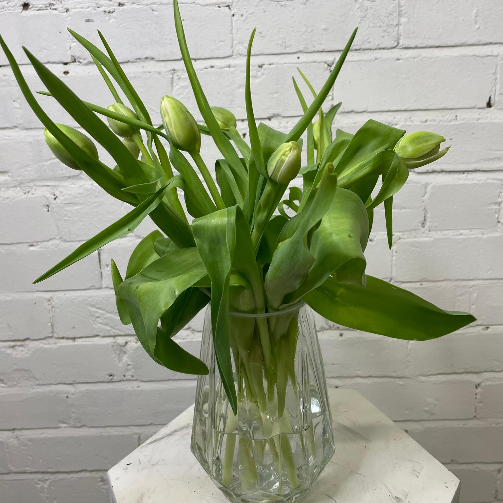 Tulip - Double White 8 stems
