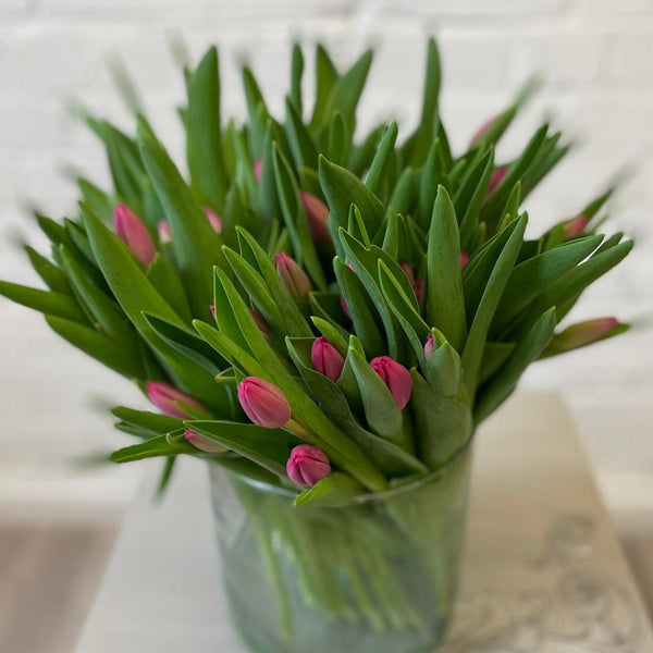 Tulip - ON THE BULB- Pink Ardour - Bundle of 20