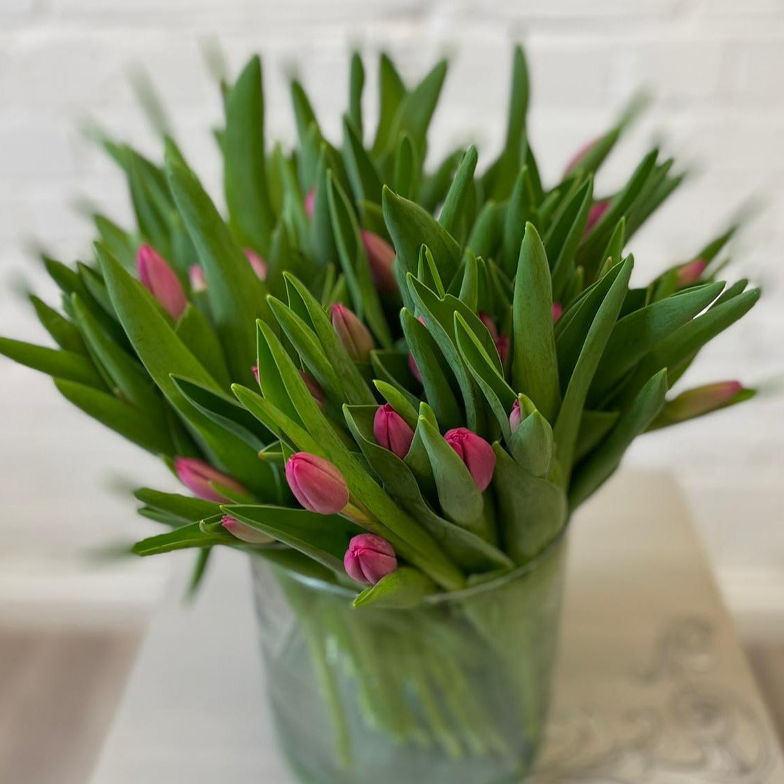 Tulip ON THE BULB San Clemente Cerise Pink Bundle of 20 British